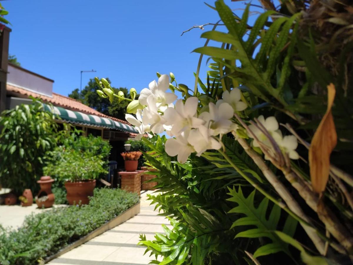 Blue Moon Inn